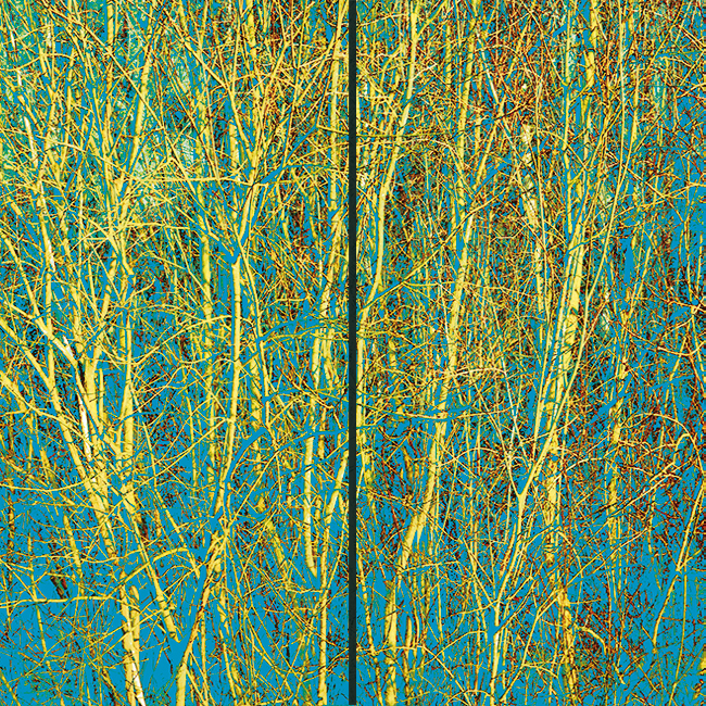 into the woods diptychon 180 x 180 cm