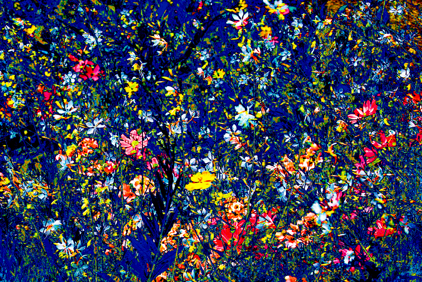 sommernachtstraum 100 x 67 cm